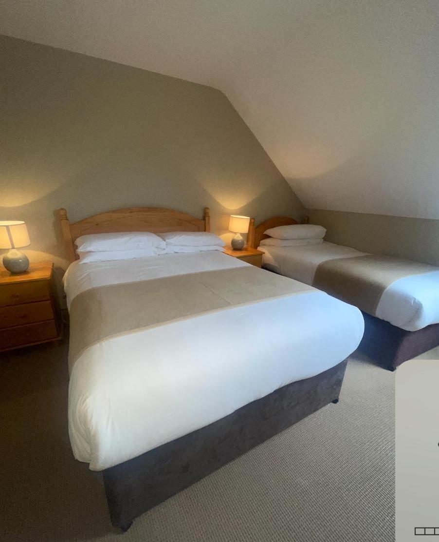 Dingle Harbour Nights Hotel Bagian luar foto